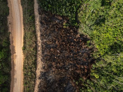 Desmatamento na Amazônia triplica em março trimestre é o 2º pior desde