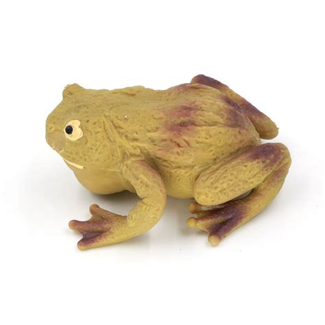 Valefortoy Frog Toysrubber Frog Figures T Replica Toy 6inch