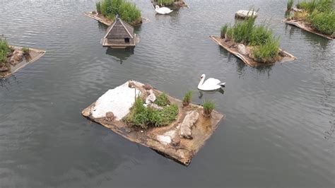 Floating Platforms For Nesting Birds Best Practice Hub