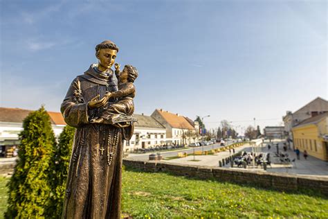 Grad Našice objavio Javni poziv za prijedlog aktivnosti u povodu