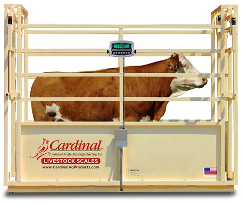 How Much Do Livestock Scales Cost — Asc