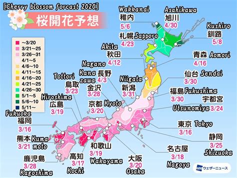 日本全国の桜の開花予想と各名所の満開予想をまとめました！ ｜ Japans Travel Manual