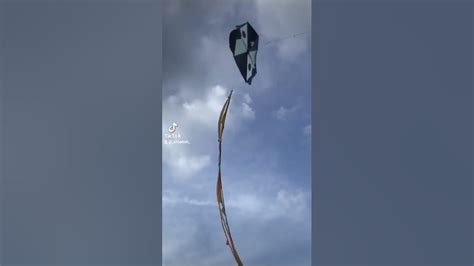 8ft Madbull Kite 🪁 Made By Myself For Christmas 🇹🇹🙏 Easter Would Be