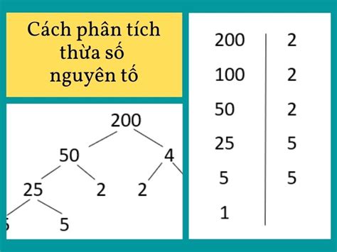 Số nguyên tố là gì? Những điểm đặc biệt của số nguyên tố.