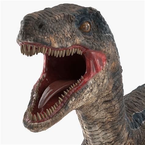 Velociraptor Für Maya Manipuliert 3d Modell 169 Ma Free3d