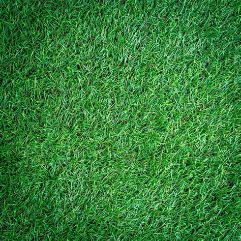 artificial turf grass background  texture  stock photo