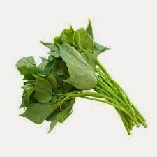 belajar manfaat daun glandir lengguk