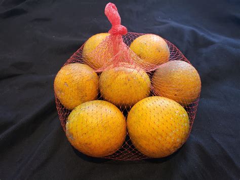 Valencia oranges – 12 Seasons Farm