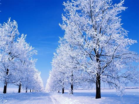 Beautiful Snow Scenes Wallpapers - Top Free Beautiful Snow Scenes