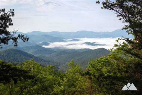 Arkaquah Trail at Brasstown Bald: hiking to Track Rock Gap