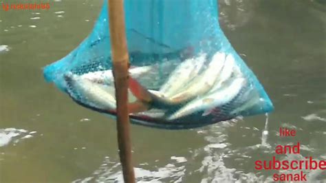 Douwbel Strike Ikan Nya Pada Lapar Smua Sanak YouTube