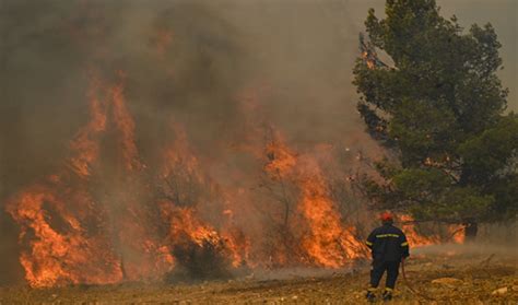 Le pourtour méditerranéen théâtre d incendies violents souvent