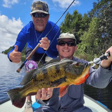 The Best Peacock Bass Fishing Guides In Florida