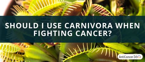 Should I Use Carnivora When Fighting Cancer