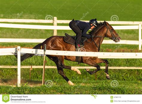 Race Horse Jockey Training Track Editorial Photography - Image of sand ...