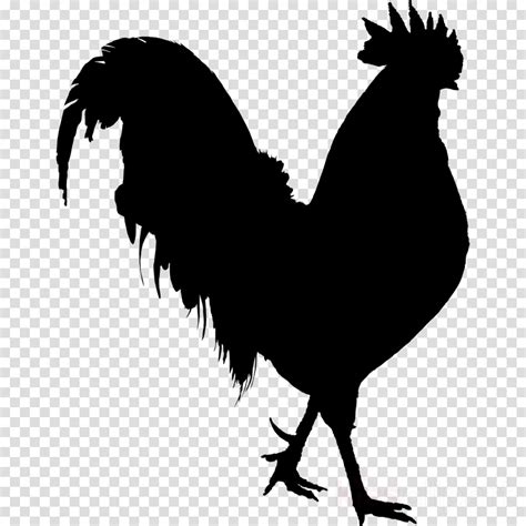 Free Rooster Silhouette Cliparts, Download Free Rooster Silhouette Cliparts png images, Free ...