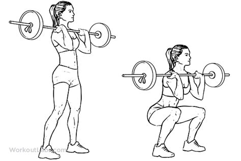 Front Barbell Squat Illustrated Exercise Guide Workoutlabs