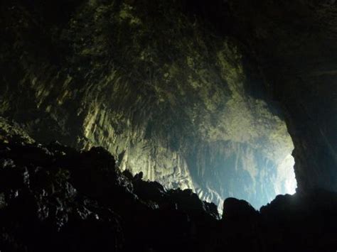 There's a 'Deer Cave' in Malaysia and It's the Second LARGEST Cave in ...