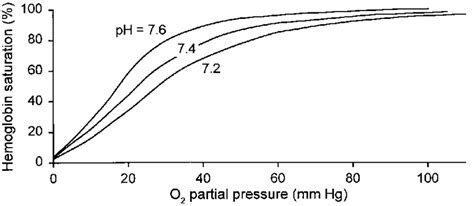 Hemoglobin Oxygen Dissociation Curve And Bohr Effect See Text