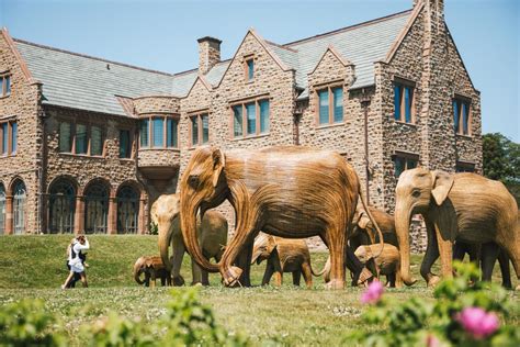 The Great Elephant Migration is Coming to Newport | 100 Life-Sized ...