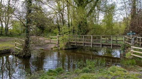 Maidenhead And Cookham Commons │ Berkshire National Trust