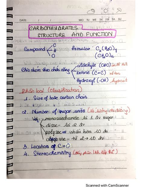 Carbohydrate Structure and Function | PDF