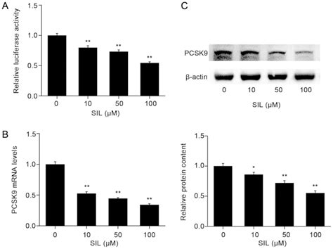 Silibinin A Decreases Statininduced PCSK9 Expression In Human