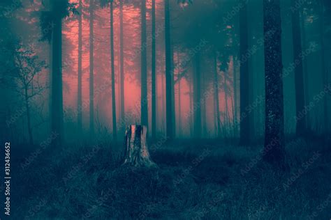 [22+] Creepy Tree Wallpapers | WallpaperSafari