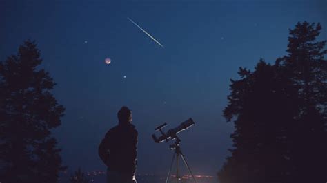 3500 Man Looking At The Moon Stock Photos Pictures And Royalty Free