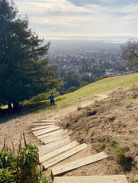 35 Best Things To Do In Berkeley Ca From A Locals Perspective