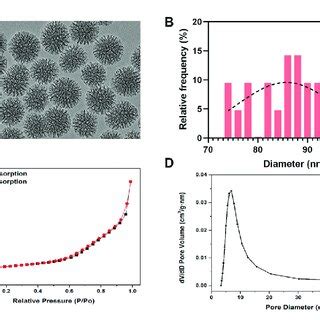 Characterization Of Mesoporous Bioactive Glass Nanoparticles BG NPs