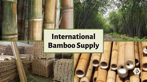 Bamboo Raw Materials And Global Supply Chain Bambu Batu