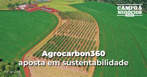 Mercado De Carbono O Crescimento E O Potencial Do Brasil Tropical Estufas Agrícolas