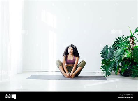 Beautiful Female Brunette Yoga Asana Stretching The Flexibility Of Body Fitness Gym One Stock