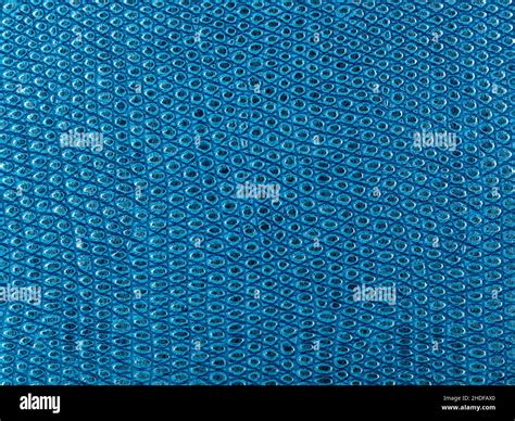 blue, surface, snake skin, blues, surfaces, snake skins Stock Photo - Alamy