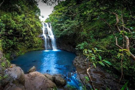 6 Best Oahu Waterfalls To Explore In 2024 | Island Life Hawaii