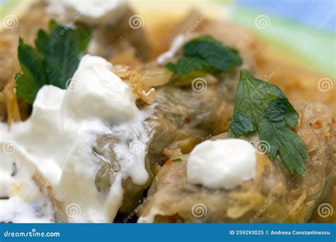 Sarmale with sour cream stock image. Image of rice, onion - 259293025