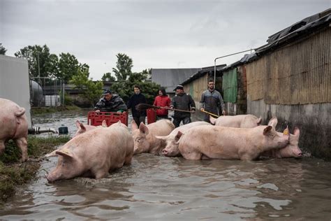 Dramáticas Imágenes De Las Inundaciones En Italia El Desborde De 14