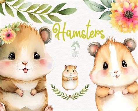 Cute Hamster Clipart