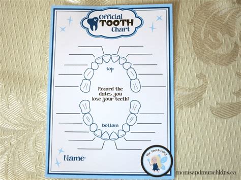 20 Fun Tooth Fairy Ideas