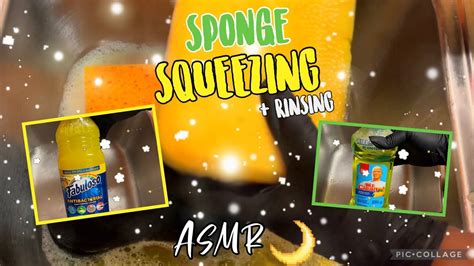 💚asmrsuds20💛 Fabuloso Mr Clean Sponge Squeezes Rinse 💦 Youtube