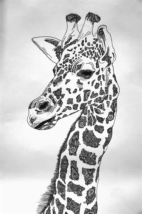 Giraffe Drawing Giraffe Art Giraffe Drawing Animal Drawings