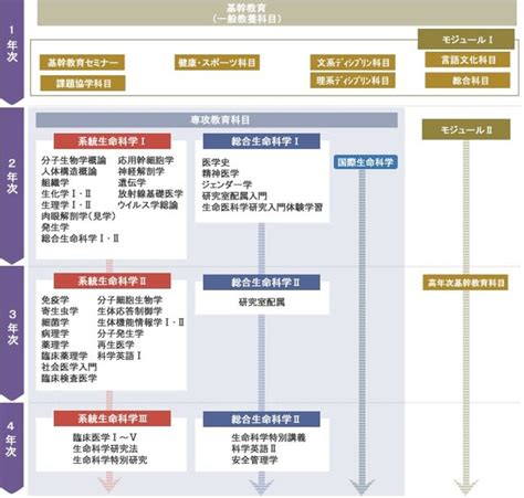 九州大学医学部 生命科学科って何やるの？：医学教育科目、分子細胞生物学、生体応答制御学、生体機能情報学、生命科学特別研究 公営競技はどこへ行く