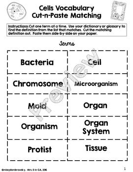 Cells Vocabulary Cut N Paste Matching By Mrs D In Ga Tpt