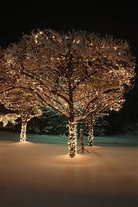 Christmas Tree Outdoor Lighting - iD Lights