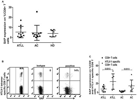 SAP Expression On CD8 T Cells And HTLV 1 Specific CD8 T Cells In