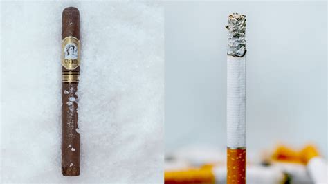 Cigar vs Cigarette: The Full Comparison | Teach Me Cigars