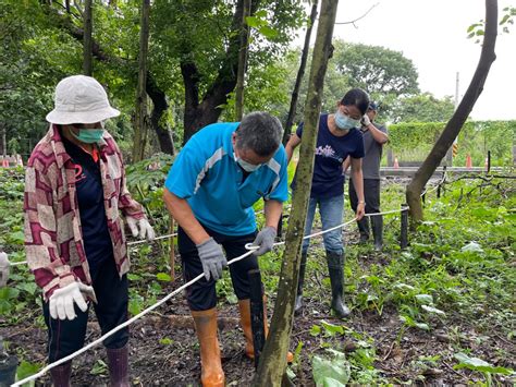 訊息專區 林業保育新聞 林業保育署辦理保安林步道工作假期 勾勒與魔芋的共處路線