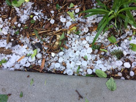 Photos: Spring storm brings burst of rain, hail - WTOP News