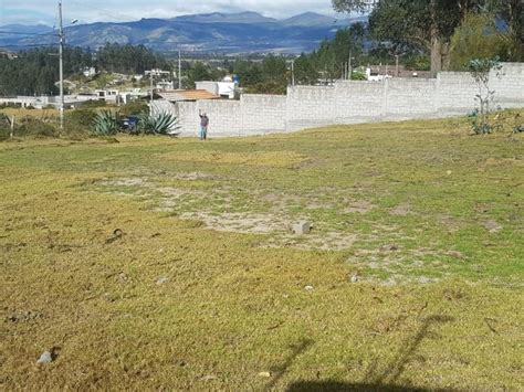 Venta Terreno Comercial En La Merced Quito Icasas Ec